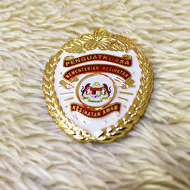 MALAYSIA烤漆奖牌外贸金属徽章工厂校徽制作企业胸针徽章CUSTOM