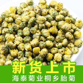 新货桐乡胎菊花茶散装杭白菊花果茶批发菊花500g胎菊散装厂家直销