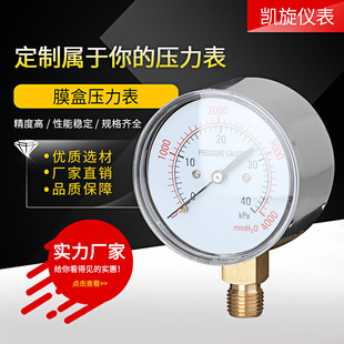 ����Ĥ�Љ�����YE60 10KPa40KPa��Ȼ�≺���ؓ��ǧ����΢����