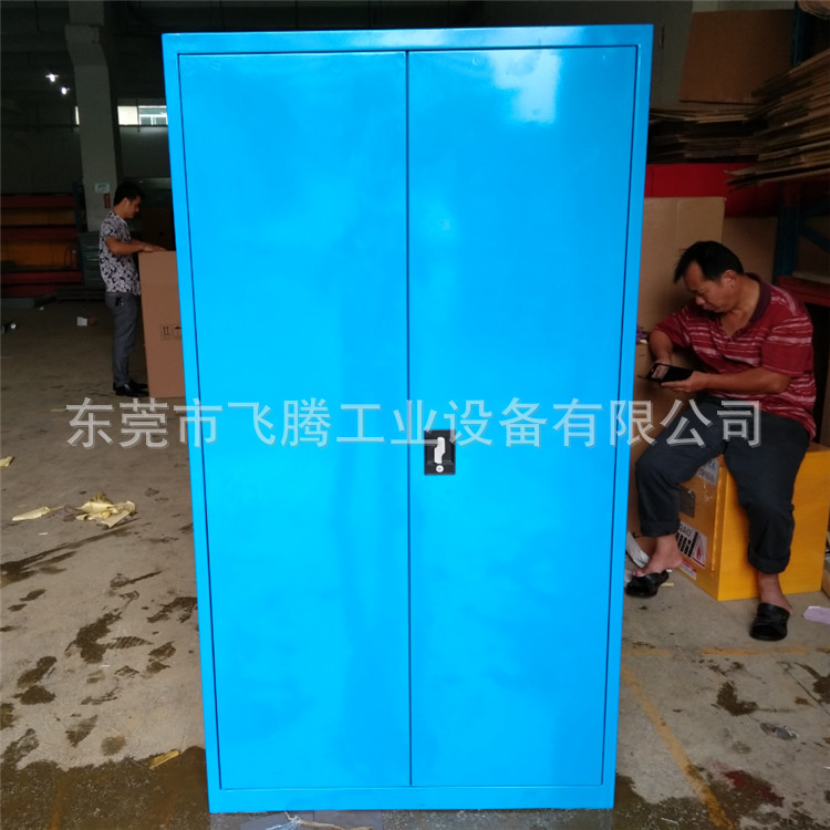 东莞厂家重型工具柜 五金工具柜 储物柜配双开门 钢制柜可定货