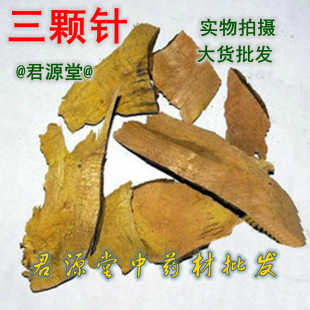 ��ș�� ���w����w� ���Sɏ ���S�B