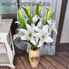 �S�����l�Ĕz���߻�c�bٻ����滨����b���ˮ�ٺϻ�c����