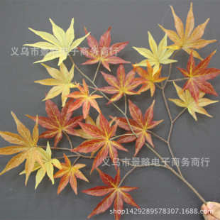 ��Ʒ����t���~�����쾰���b��~���uצ���G���bt���~�S�����l