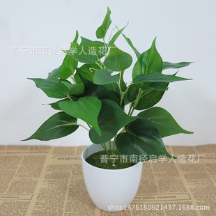 �������컨���~�ӼپGֲ���Է���ֲ��廨�b���ľG�}�S�����l