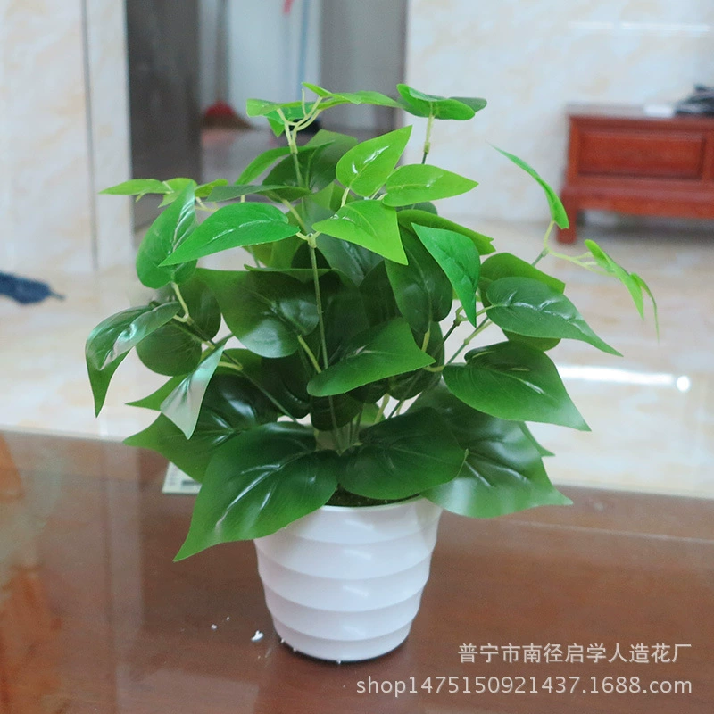 Вечный цветок вечнозеленый лист имитация растения куриное сердце лист вечнозеленый белый чистый лист Свадебные принадлежности Зеленая роза лист маленький пучок