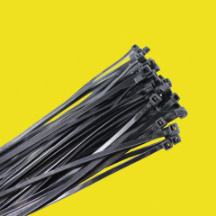 Car, Motorcycle Multi-purpose Self-locking Straps, Plastic Straps, Fruit Tree Seedling Ties, White, Black