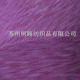 厂家供应 涤氨段染布200g 休闲服运动服女装针织布料功能性面料