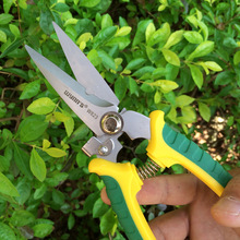 �����{��8��200MM���P���Ӽ������ɵ�����Ǽ����X�۰����W823