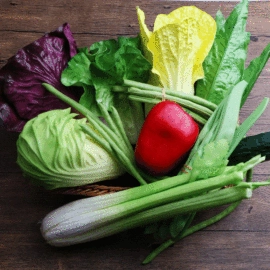 面具;树脂工艺品;仿真绿植