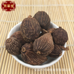 ���l�{�ϲݹ� �ݹ��� �ݹ�������ă�