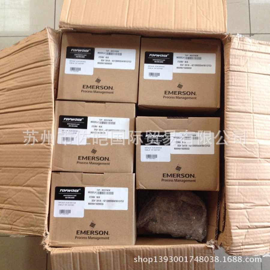 供应原装TOPWORX品牌TXP型号阀门控制器 供应高效回讯器