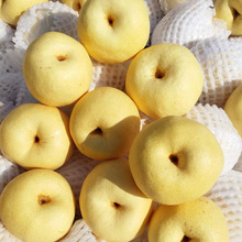 陕西冰糖酥梨新鲜冰糖雪梨脆甜梨子甜蜜多汁陕西酥梨贡梨水果直发