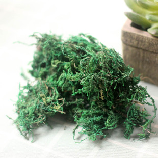 ��̦���]����̦������̦̦�\΢���^�廨��ٻ�����辰�����b�