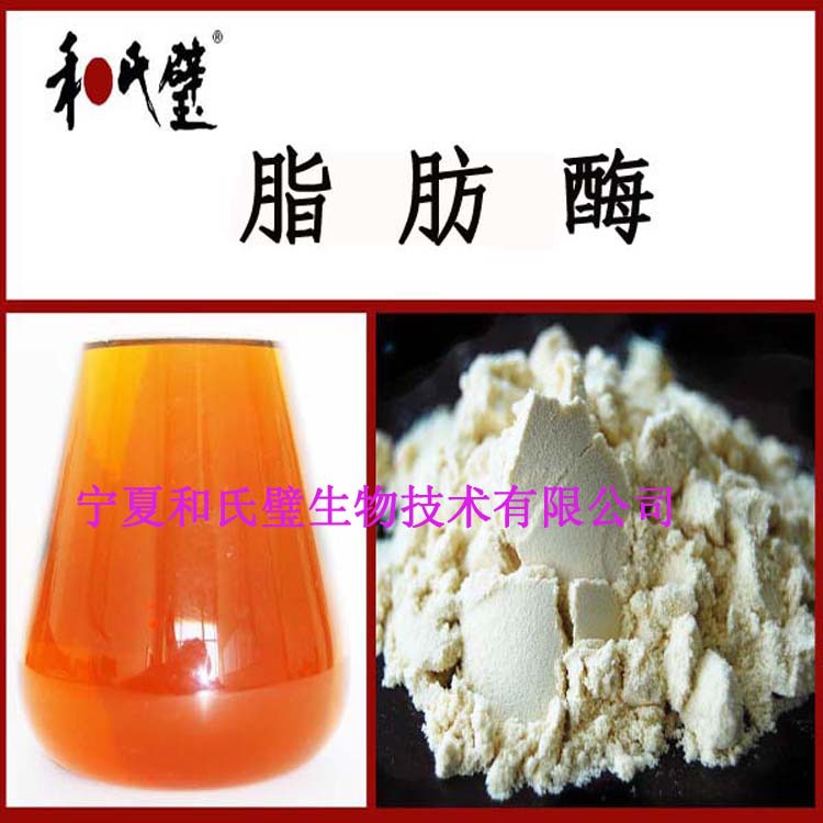 【厂供】宁夏和氏璧 食品级脂肪酶 生物酶制剂 5万u/g 包邮