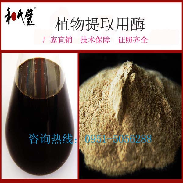 【厂供】高酶活纤维素分解酶食品级粉末纤维素酶30万活力