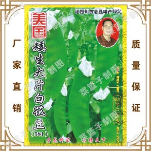 �T�����N�繫˾ֱ������Nֲ�߲˷N�����@��Ɓ��Ƭ�׻���(581)
