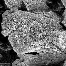 �S�ҬF؛���l����ʯ΢��  ����ʯ����� �ʯ�� ��������ʯ΢��