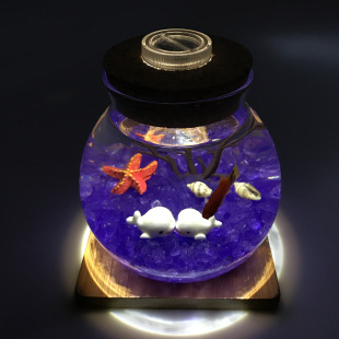 ������΢���^���BƿDIYˮ��ֲ����k�������ԶY�����bҹ���~��