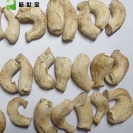 香菇
