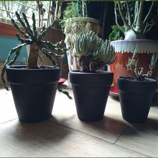 �t�ջ���  �t�ն��⻨��  �����մɻ�����ն����辰����