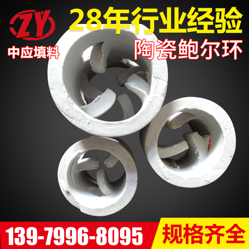 厂家供应萍乡化工填料 陶瓷鲍尔环 陶瓷鲍尔环填料 陶瓷散堆填料