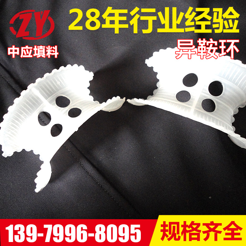 厂家供应塑料异鞍环 工业塑料填料聚丙烯异鞍环 pp异鞍环