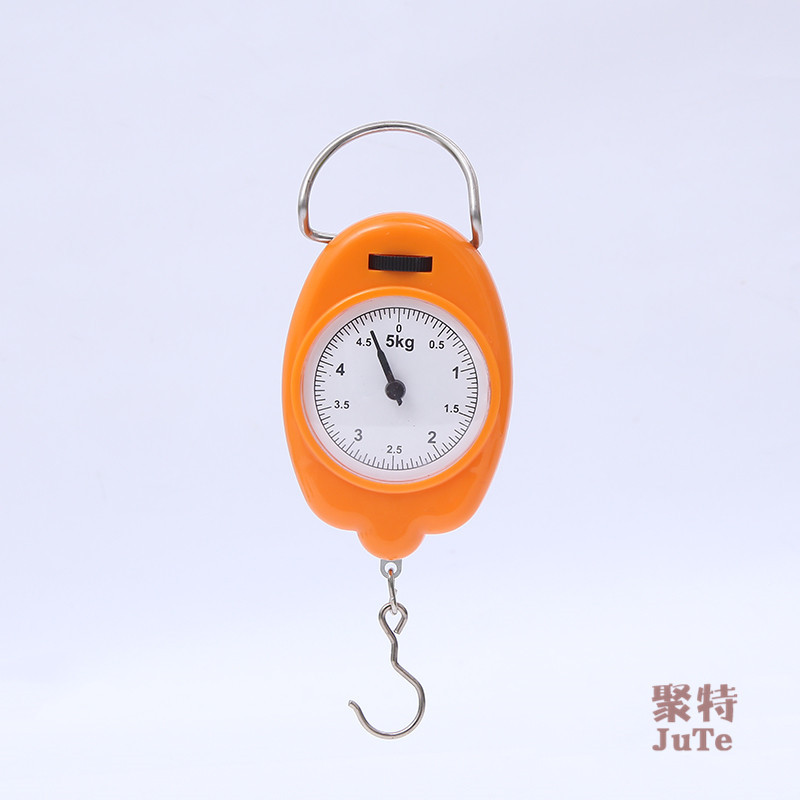 厂家直销便携手提称弹簧秤5/10公斤学生教具指针秤厨房买菜小称