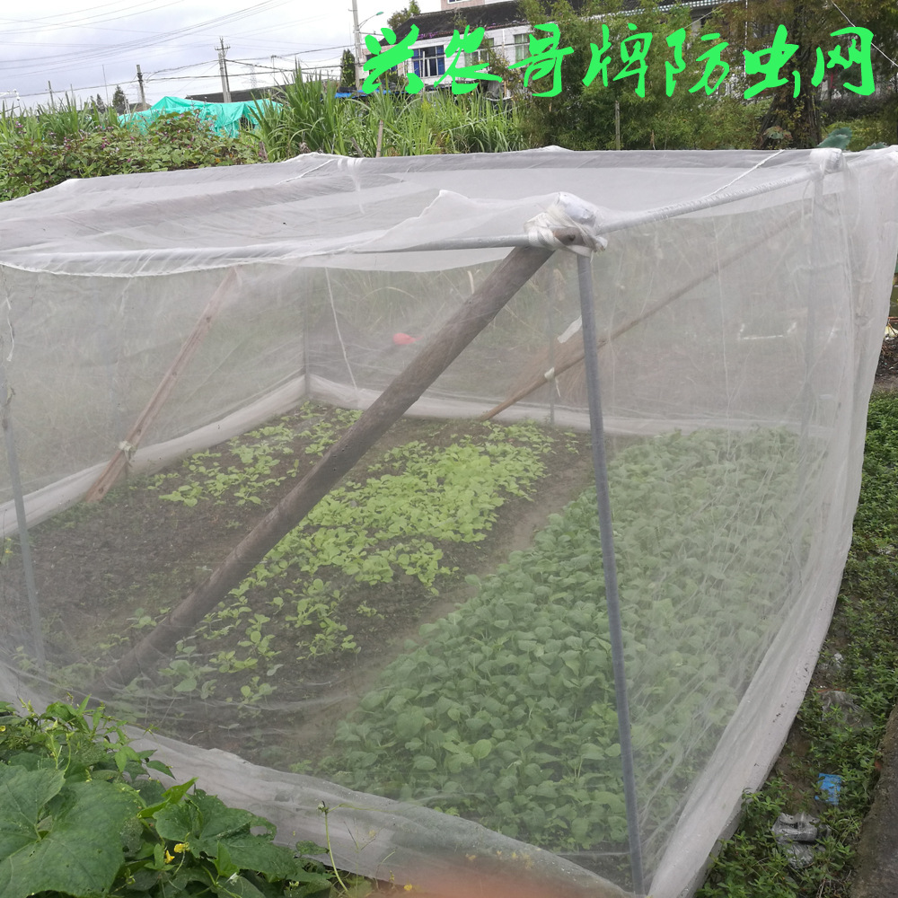 抗老化 防虫网 大棚用网  养猪场 围网 防逃网 养殖网 防鸟网