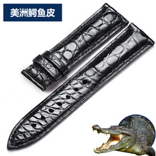 工厂直批 美洲鳄鱼皮高档表带 圆纹鳄鱼纹真皮男女士手表带手链