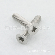 ���P�304���^ƽ�^��÷���C�ݽz� GB2673 CSK TORX SCR