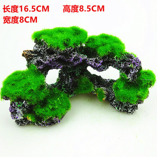 �S�� �~���b�ˮ�����쾰����������̦ɺ����ɺ���[���º���ʯ