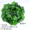 1 pack of grape leaves (12 pieces)