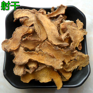 ���l��ș�� ��� ���� ���� ���� �S�h ҹ�� ������ �ݽ����Mĥ��