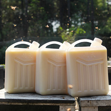 鑫蜂园实力源头蜂场农家自产当季6公斤一桶装 新鲜桶装油菜蜂王浆