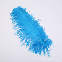 ��ɫ�F؛ ���{ɫ60-65cm�r�Bë������b� ��g���ɫ