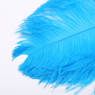 ��ɫ�F؛ ���{ɫ60-65cm�r�Bë������b� ��g���ɫ