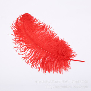 �S�����l �֗U65-70cm�r�Bë�}�QDIY ��c��ë�b�Ҏɫ�F؛
