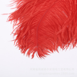 ���S�����l�� �֗U65-70cm�r�Bë�}�QDIY ��c��ë�b�Ҏɫ�F؛