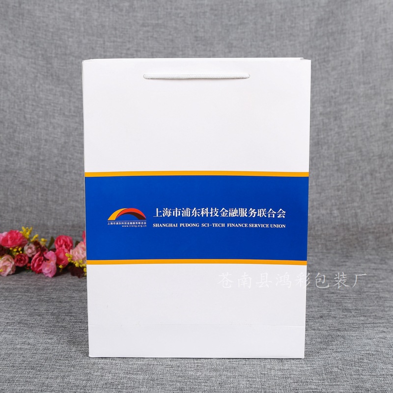 广告纸袋 手提纸袋批发 环保纸袋 展会活动环保袋印刷LOGO