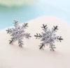 Earrings, with snowflakes