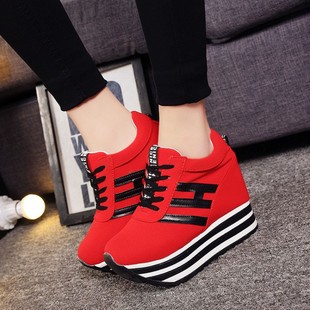 ���eŮЬ2025�괺�＾�¿�A�^����ɸ��\��Ůʿ���e��Ь