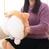 Plush pillow, cute toy, transport, sofa, wholesale