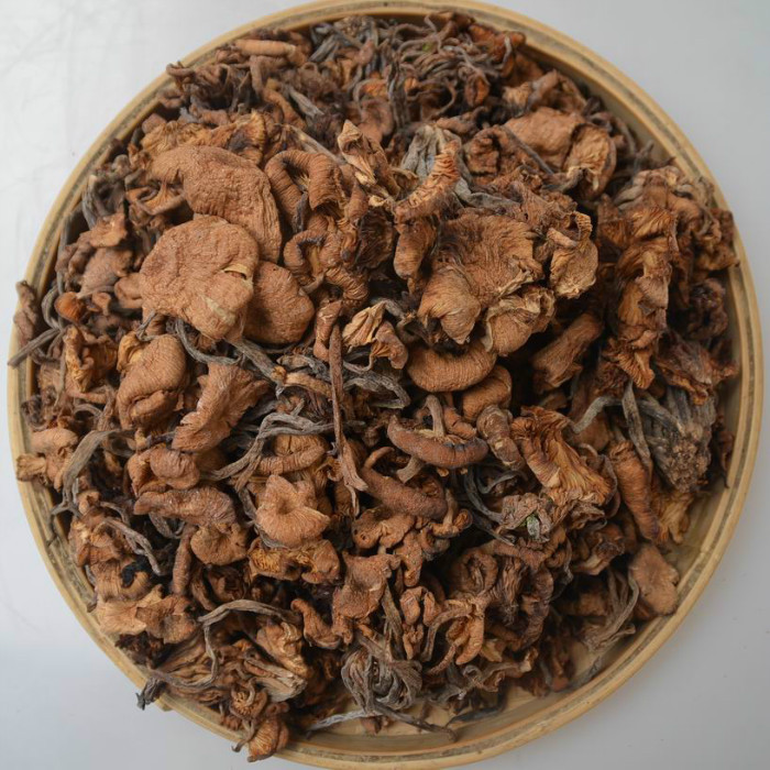 green bar mushroom chicken filamentosa farmhouse outdoor glazococcus mushroom edible fungus dry goods non-artificial planting free shipping