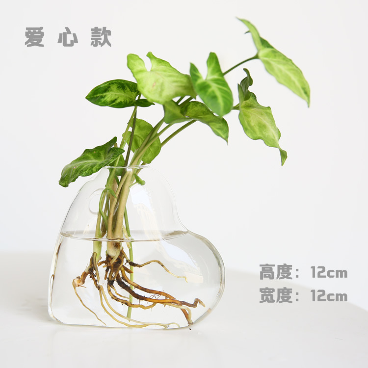 Florero de vidrio hecho a mano creativo sala de estar decoración arreglo floral transparente flor hidropónico dispositivo hogar jardinería Decoración