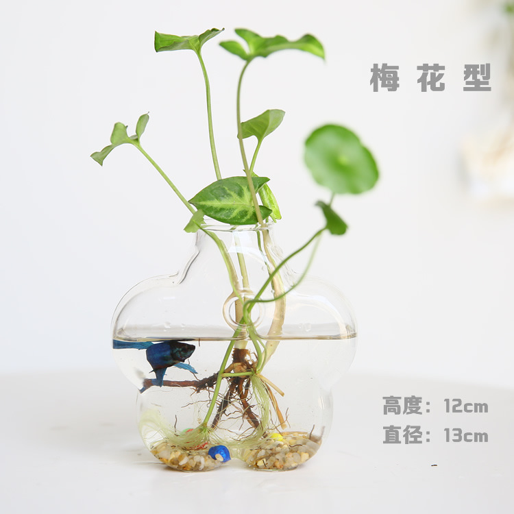 Florero de vidrio hecho a mano creativo sala de estar decoración arreglo floral transparente flor hidropónico dispositivo hogar jardinería Decoración
