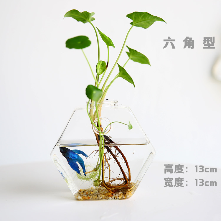 Florero de vidrio hecho a mano creativo sala de estar decoración arreglo floral transparente flor hidropónico dispositivo hogar jardinería Decoración