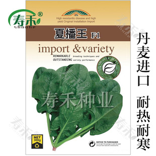 �M���Ĳ���F1���˷N�ӳ��͟��ͺ��N�ѿ����߮a�����������ļ��߲�