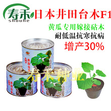 ����̨ľ�S�ϼ޽���ľ�N���S�������挣����ľ ����������߮a��