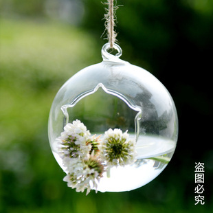 ����Ғ첣����ƿ����ֲ�ﻨƿ΢���^ƿ �����ˮ�໨�� �A�ε�ƿ