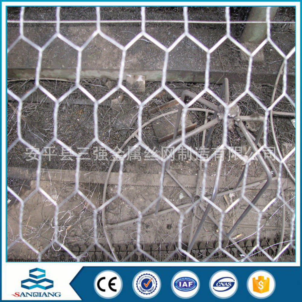 专业生产六角网厂家/墨绿色六角网防护网，石笼网箱，拧花网实体